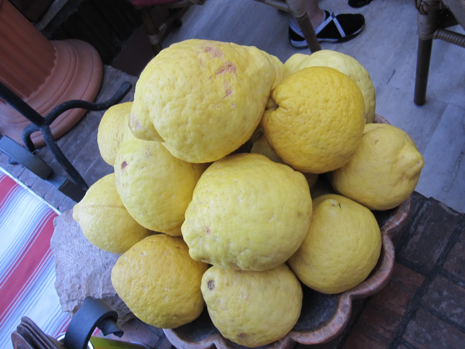 One of the typical products of the Amalfi coast: the giant lemons. And what a smell!