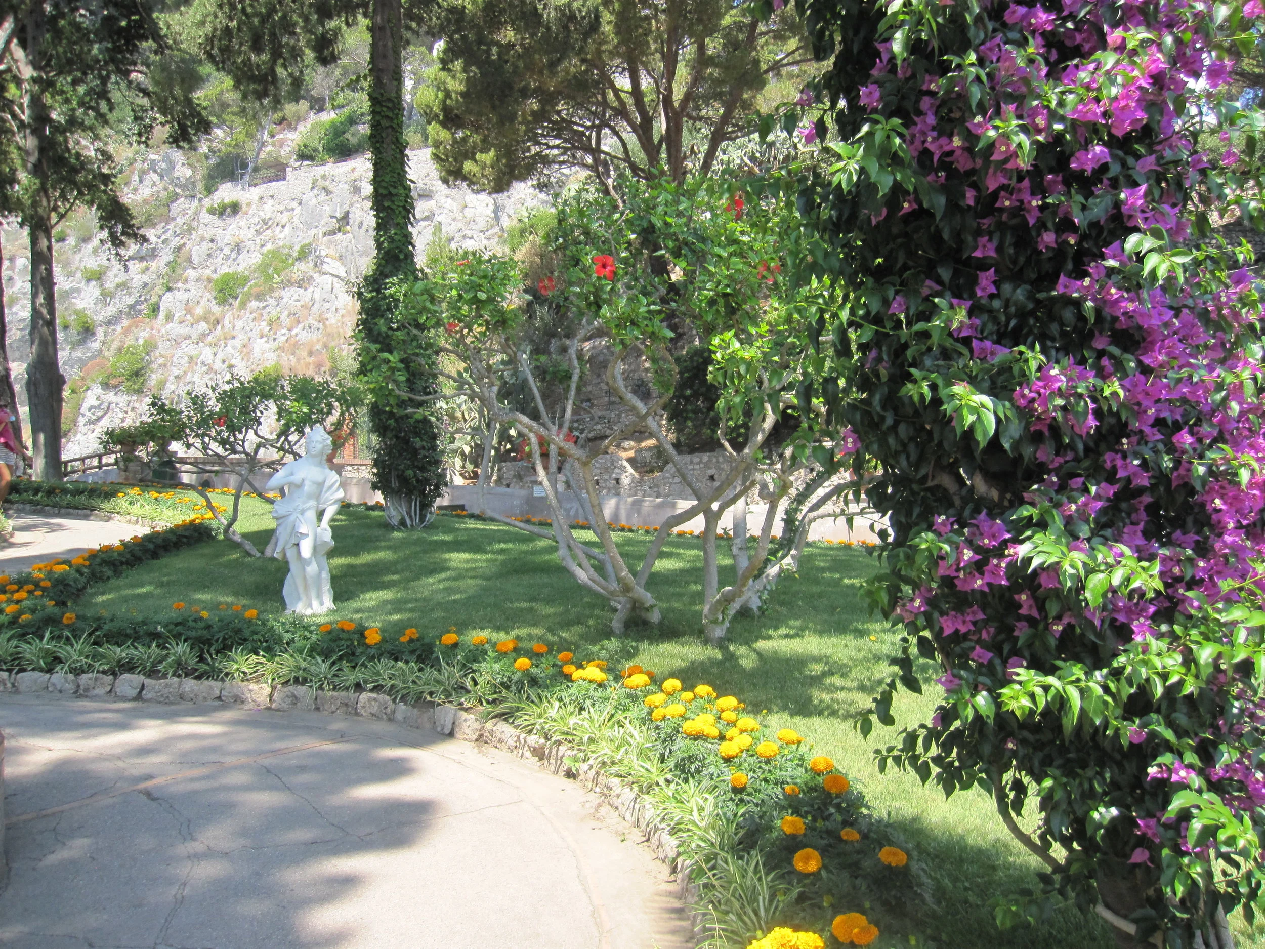 The Augustus Gardens.