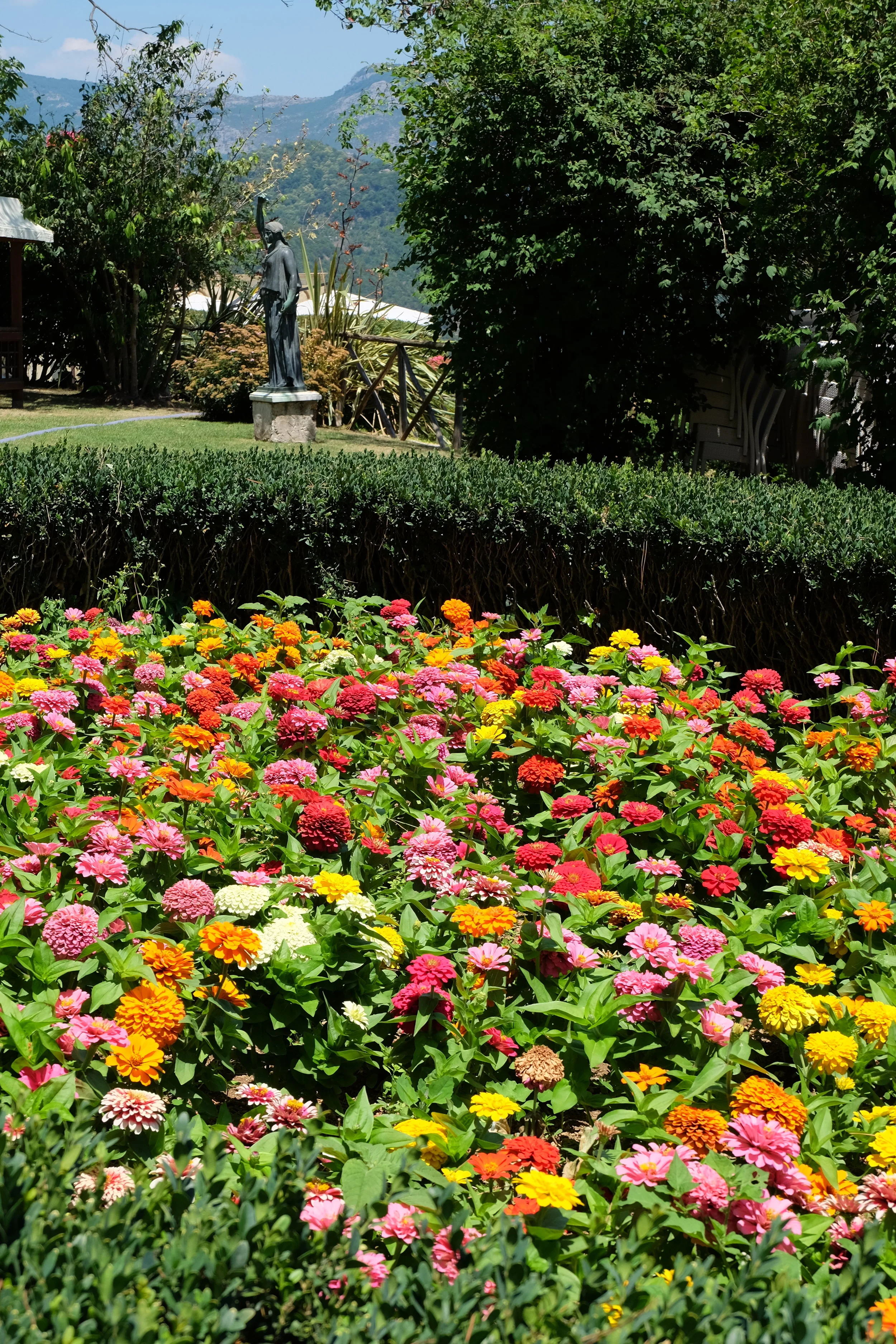 Garden flower bed.