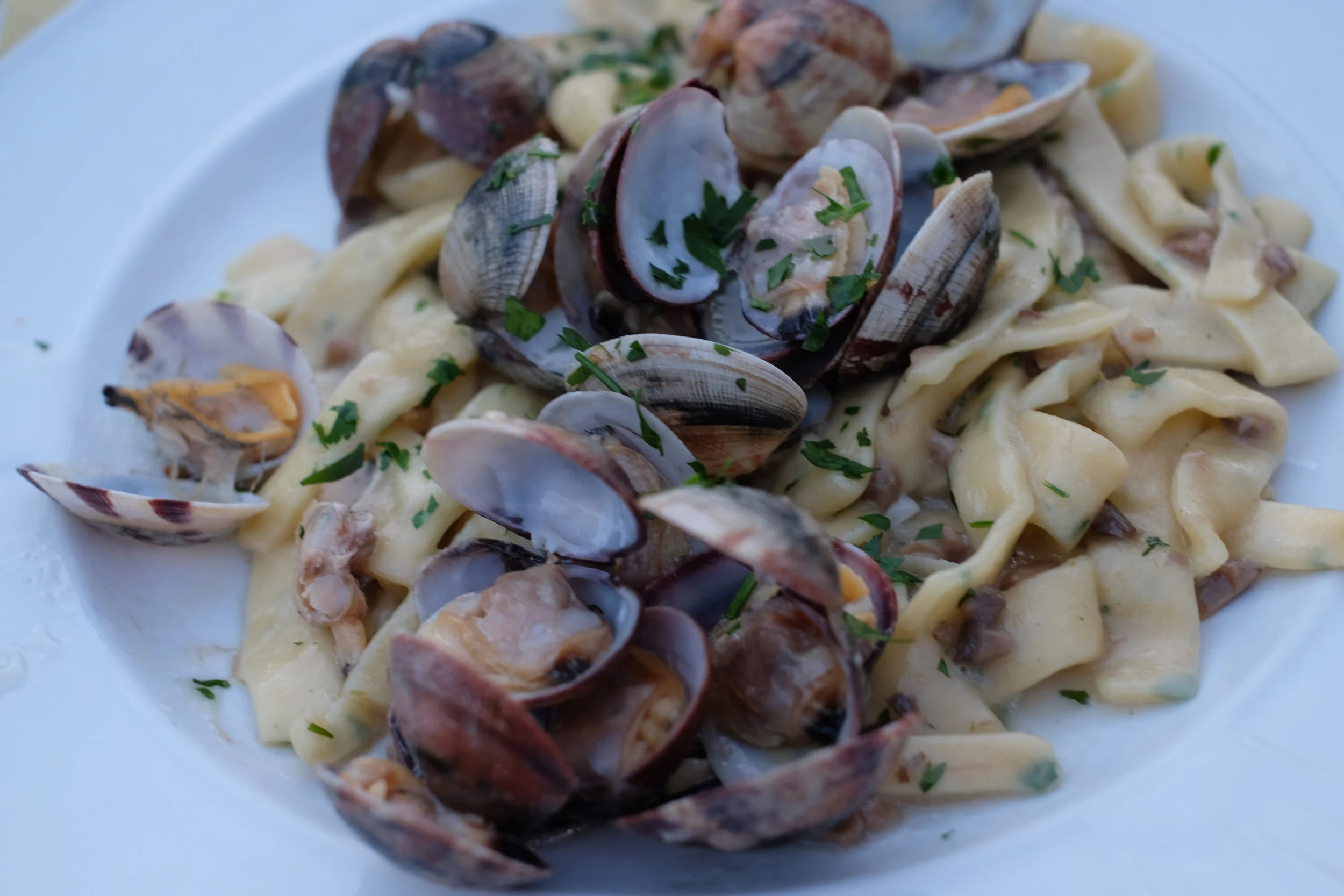 another must try dish: scialatielli (fresh hand made pasta) with clams.