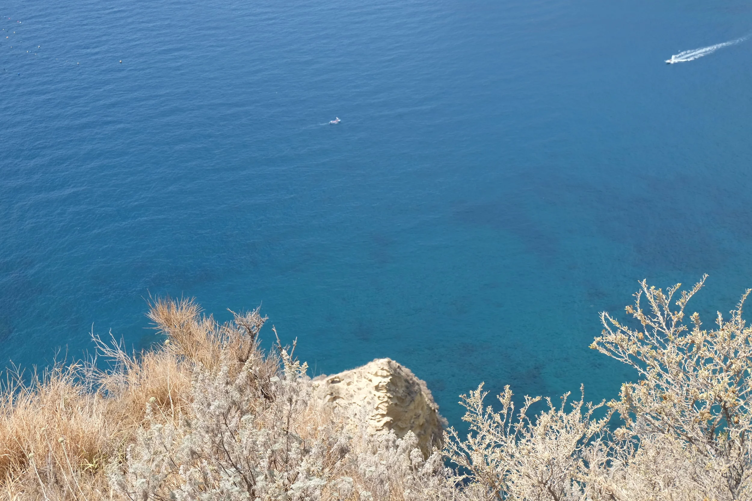 DSCF2721.JPG