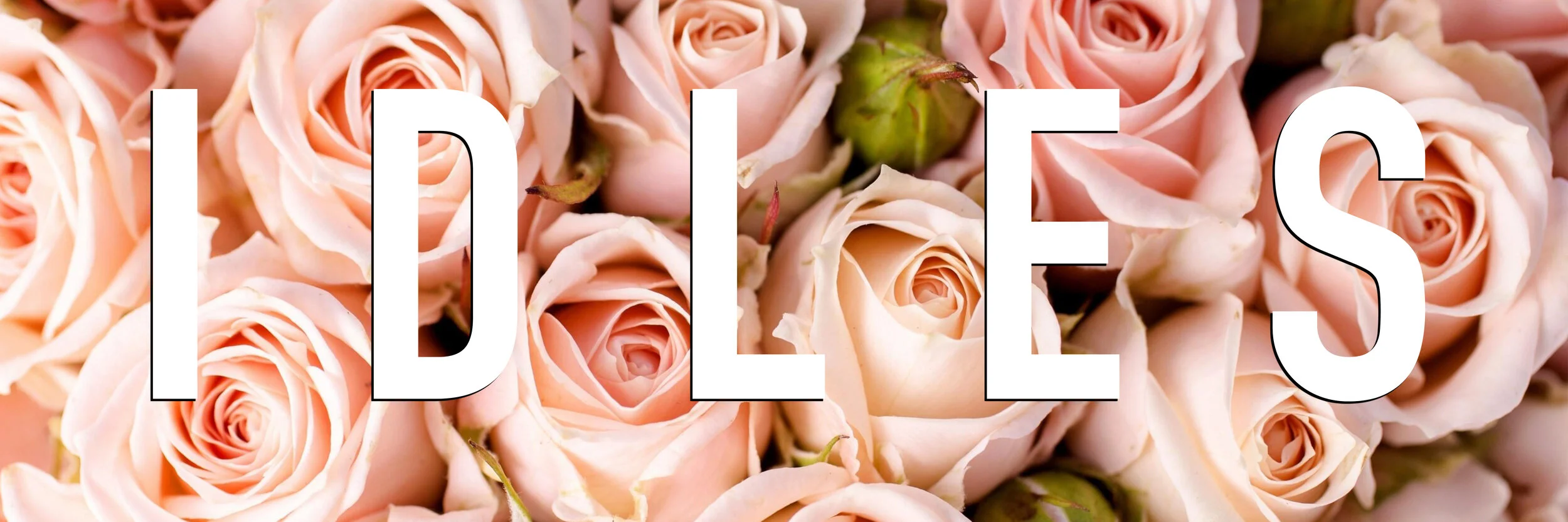 Photography by Owen Murray