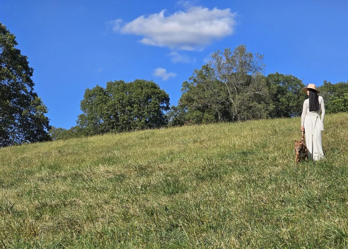 Our special weekend was spent at @bluehillfarm where I felt grateful to be surrounded by loved ones at my favorite place. I appreciated the space they carefully crafted and savoring meals fresh from their on-site farms🌿🥕🫜🥬✨

I&rsquo;m wearing cas