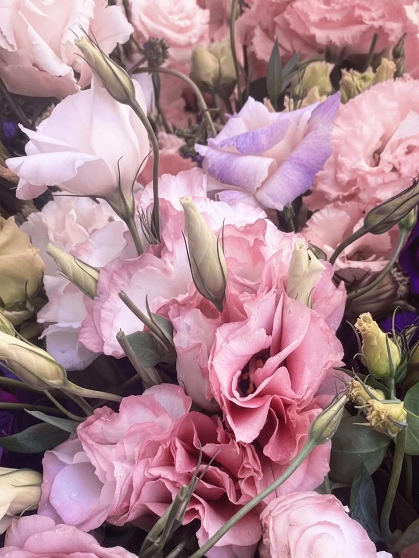 There is a reflection on &ldquo;Ros&eacute; &ldquo; that holds a significant meaning for me beyond just the flower. &ldquo;Ros&eacute; &ldquo; embodies the color pink and whatever personal significance that means to you.

Having lived in major cities