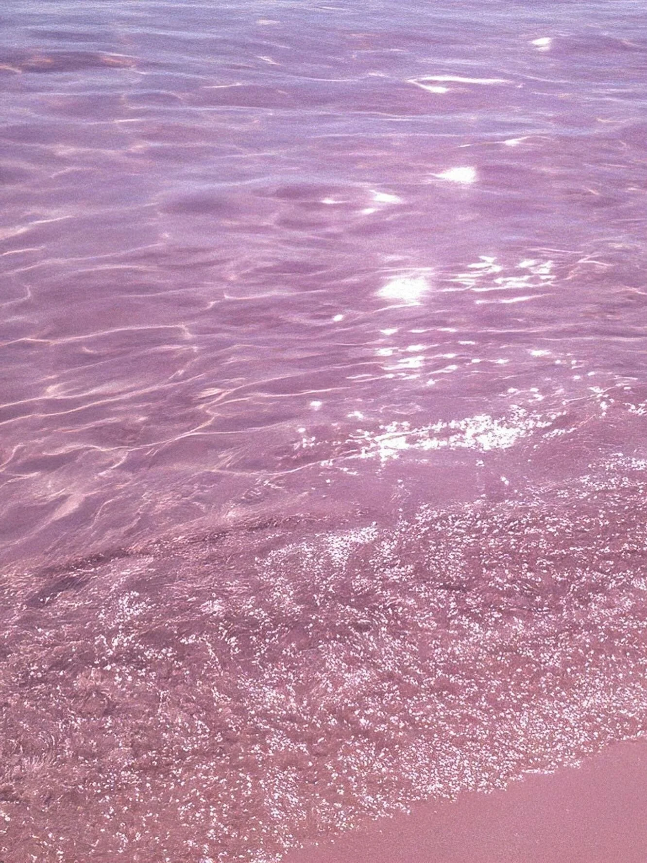 Wishing you a Ros&eacute;-colored week that flows as peacefully as Ros&eacute; Oc&eacute;an, which has been a long-time inspiration for me🥀🌊✨