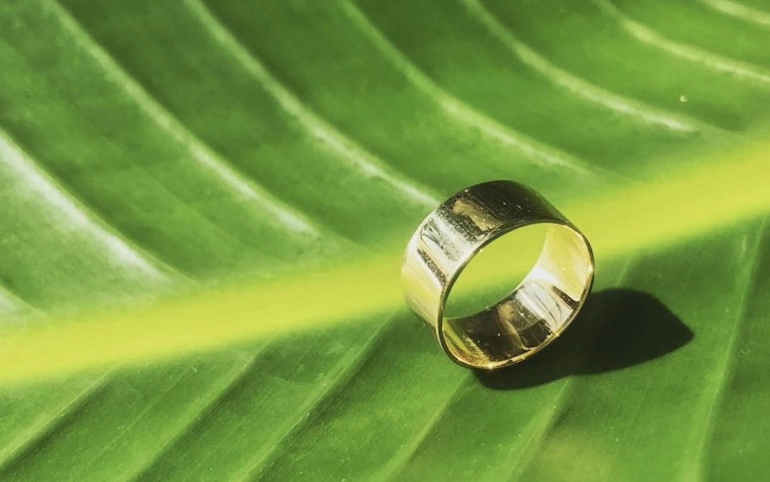 sixth gold ring band.jpg