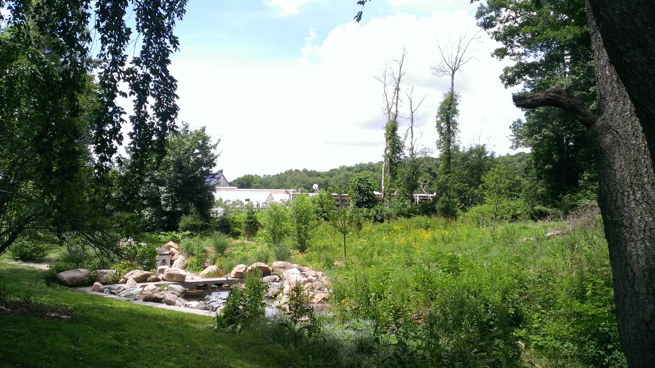 WP_20150617_017.jpg