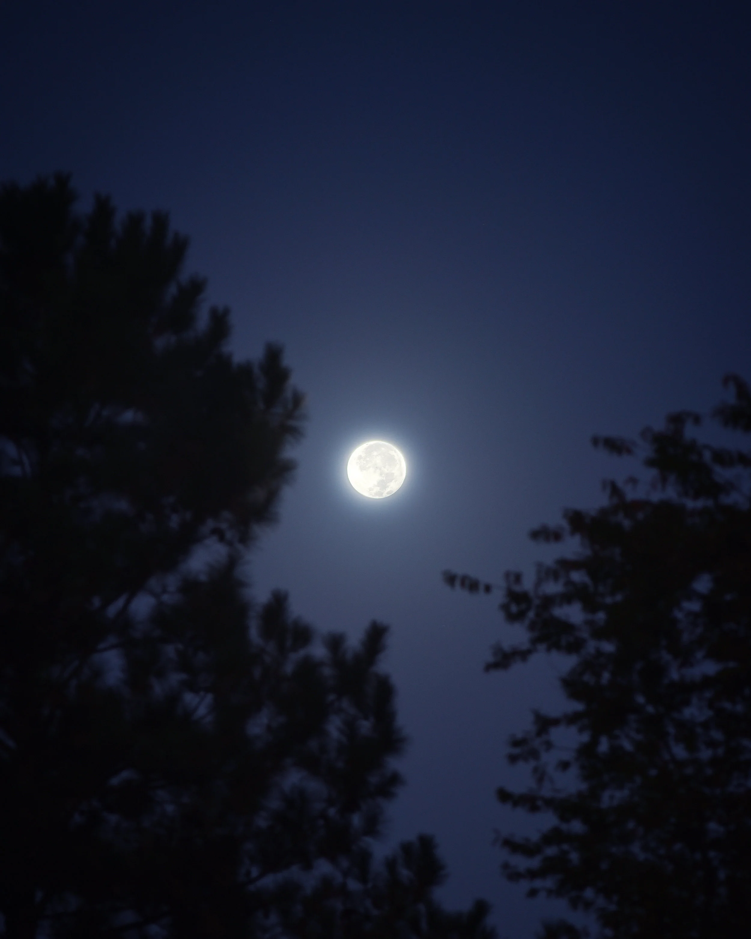 DSC_4515.jpg