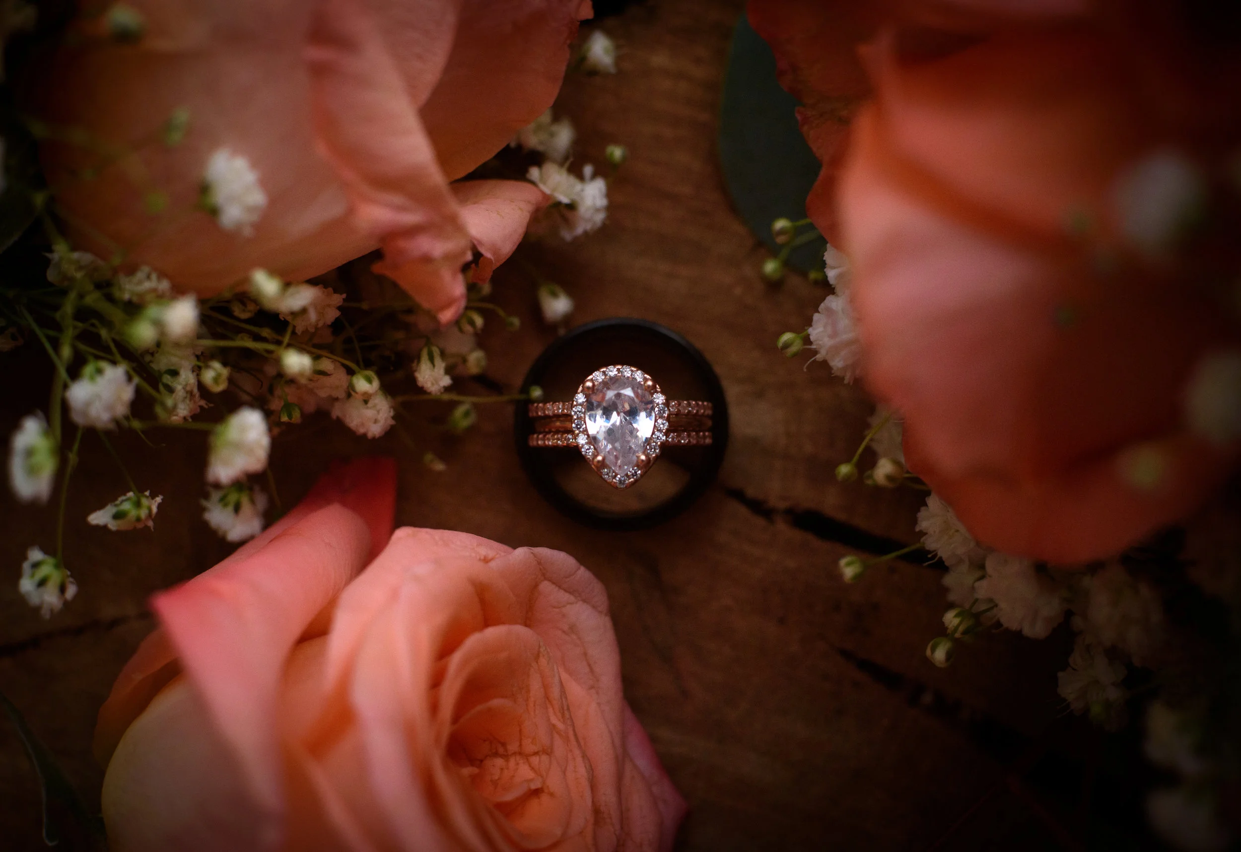 DSC_0200.jpg