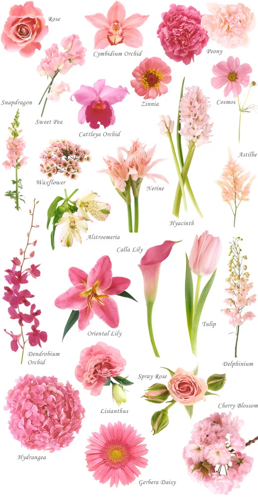 Wedding Flowers Bouquet Pink