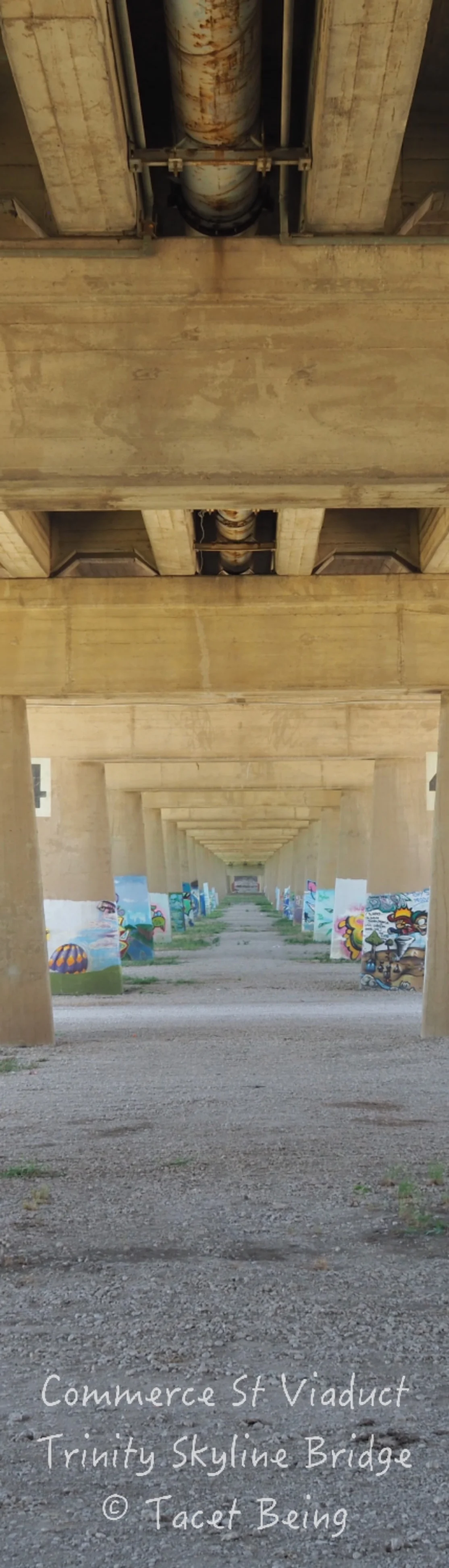 Commerce Viaduct under_FB.jpg