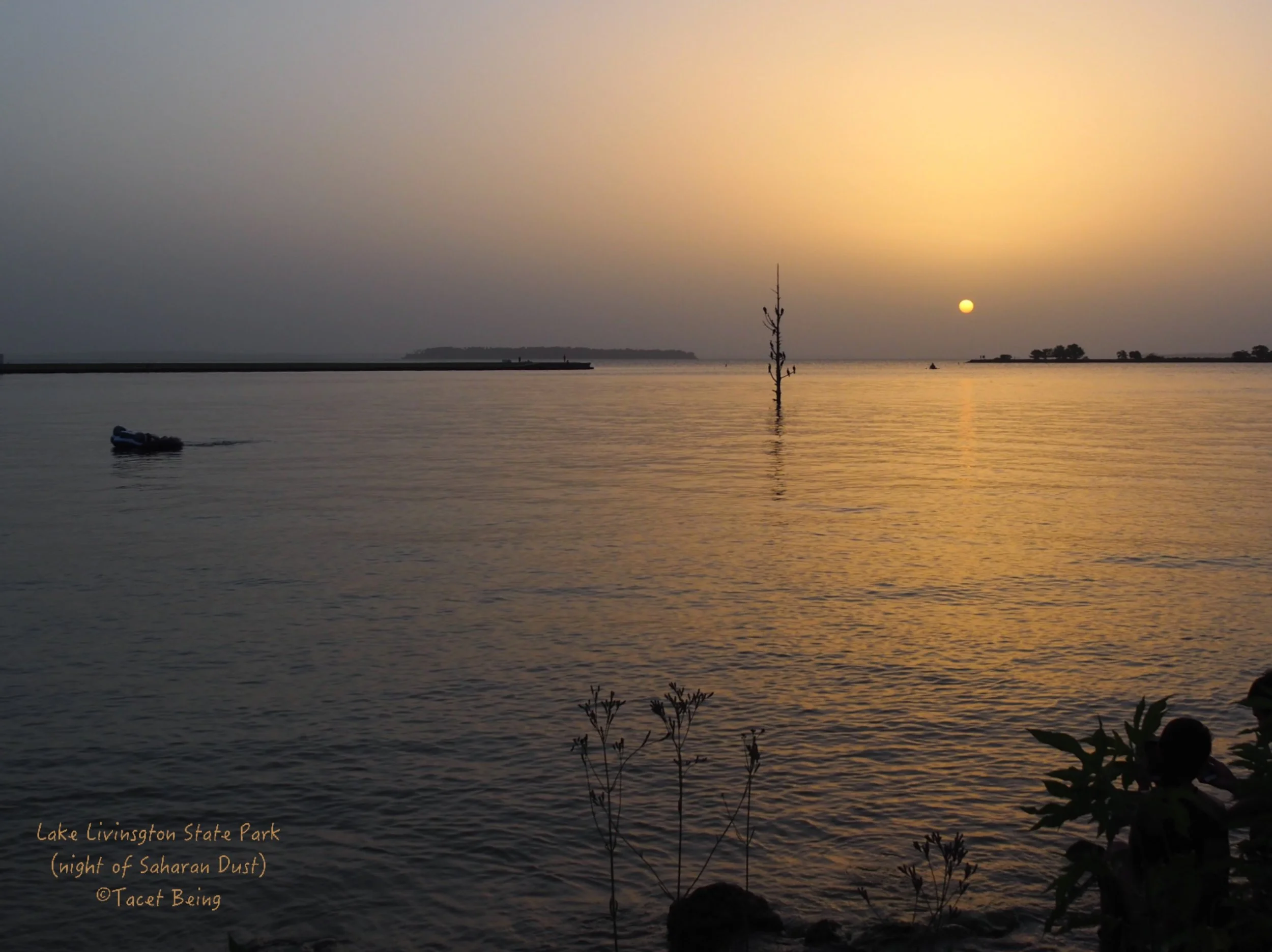 LLSP saharan dust sunset_FB.jpg