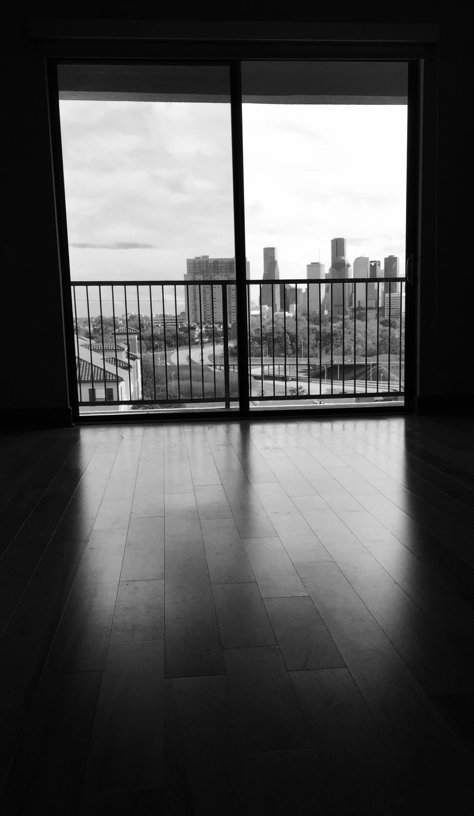 cropped houston downtown thru sliding glass copy.jpg
