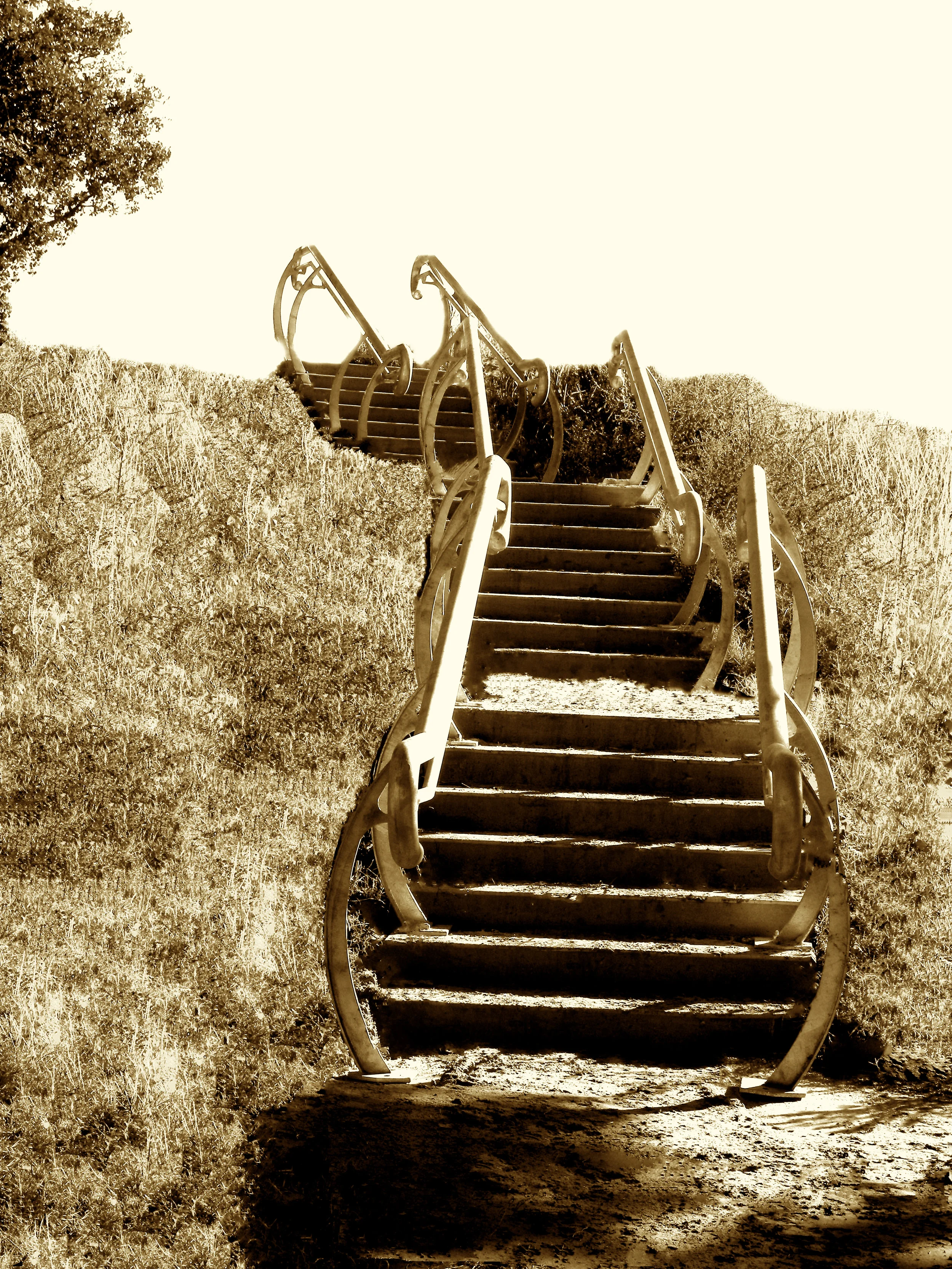 bridge to up sepia.jpg