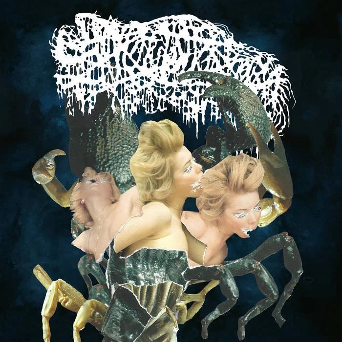 New Metal Releases - Feb 3rd 2023