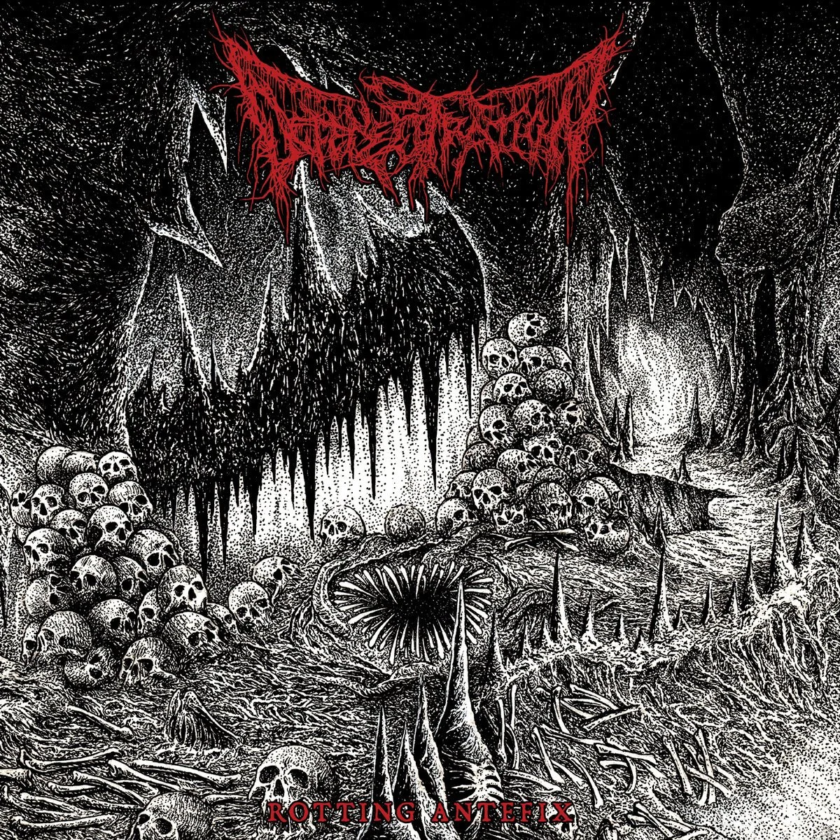 New Metal Releases - June 12th 2026