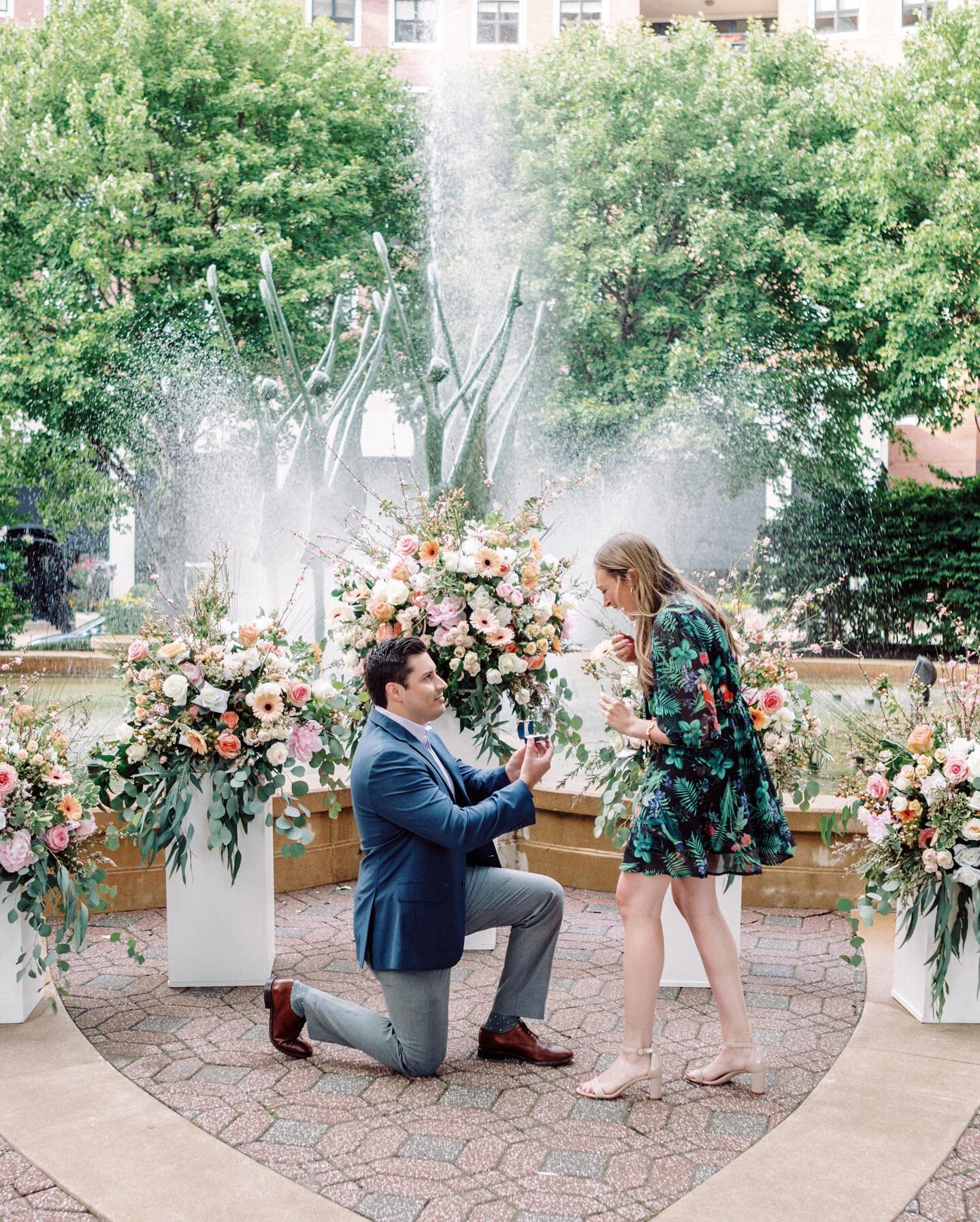 Congrats to Kimmy and Andrew on their engagement! What fun having a custom ice cream cart and champagne to sweeten the experience following the excitement. 

Floral: @festivestl 
Planning: @kateandcompany 
Balloon art: @partyhopshop 
Photo: @mikecass