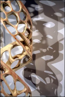 Phantom Withdrawal (Detail) - 2011