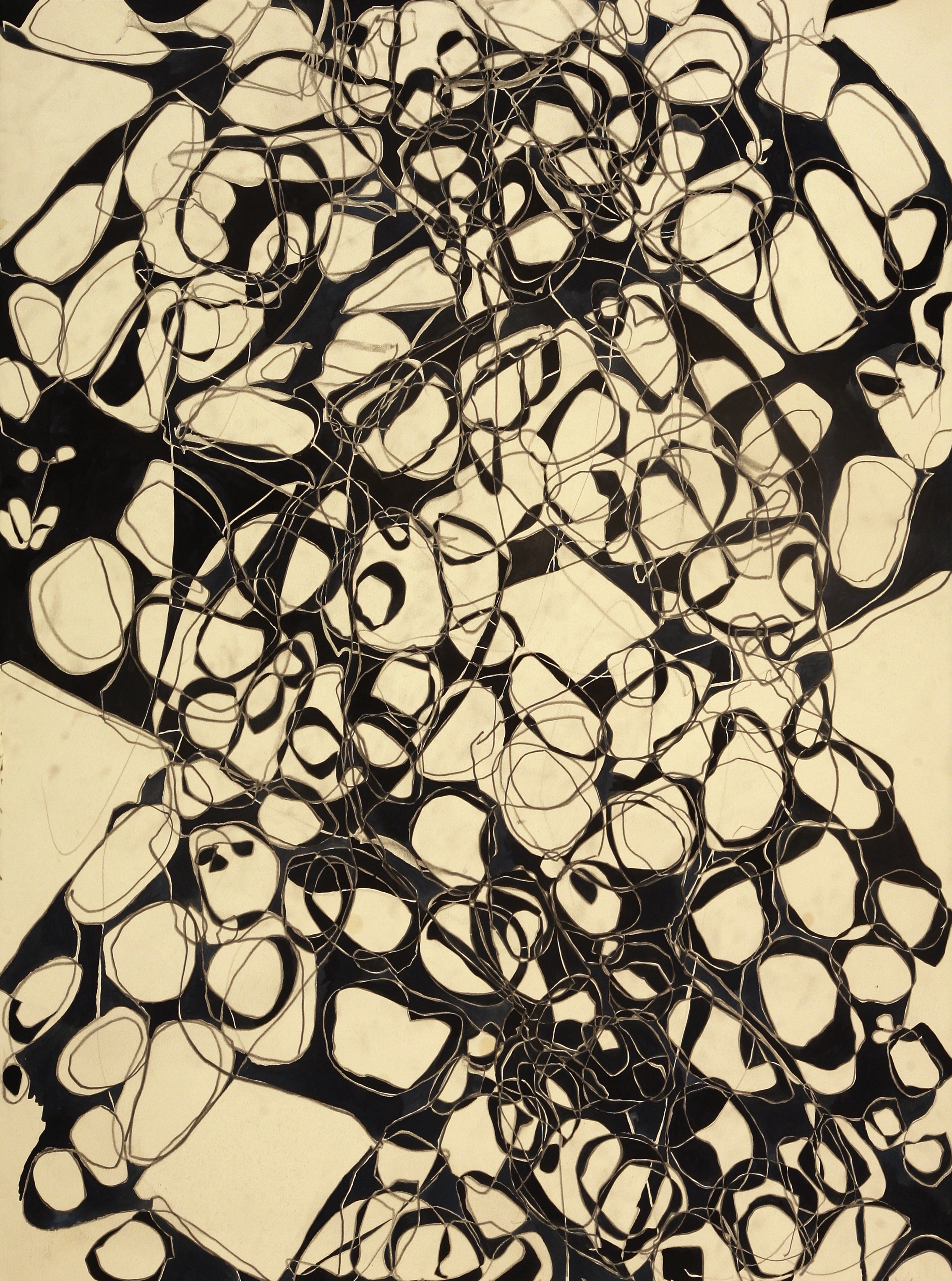 Ink (Black and Cream)