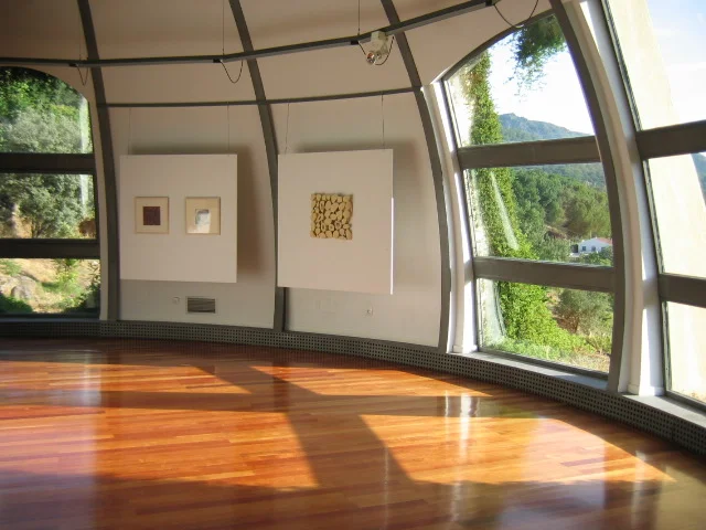 Foreign Body, Espacio Moran de Art Contemporaneo (2005)