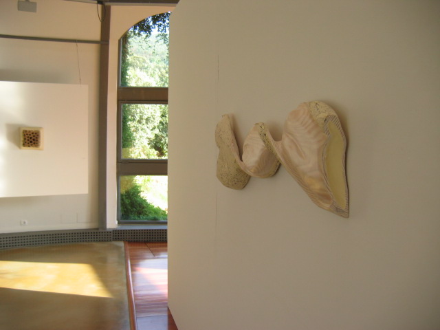 Foreign Body, Espacio Moran de Art Contemporaneo (2005)