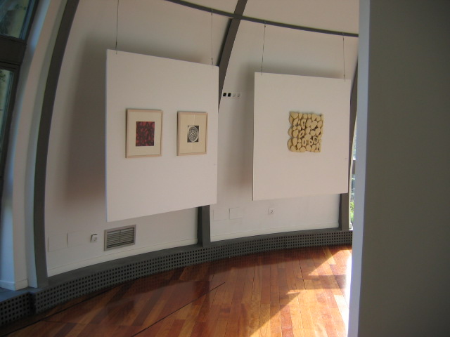 Foreign Body, Espacio Moran de Art Contemporaneo (2005)