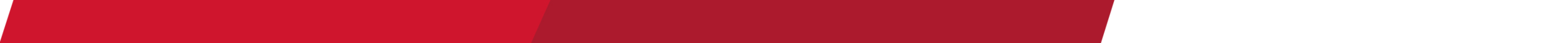 Website Divider Banner.png
