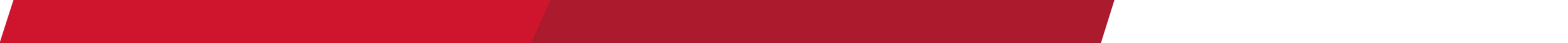 Website Divider Banner.png