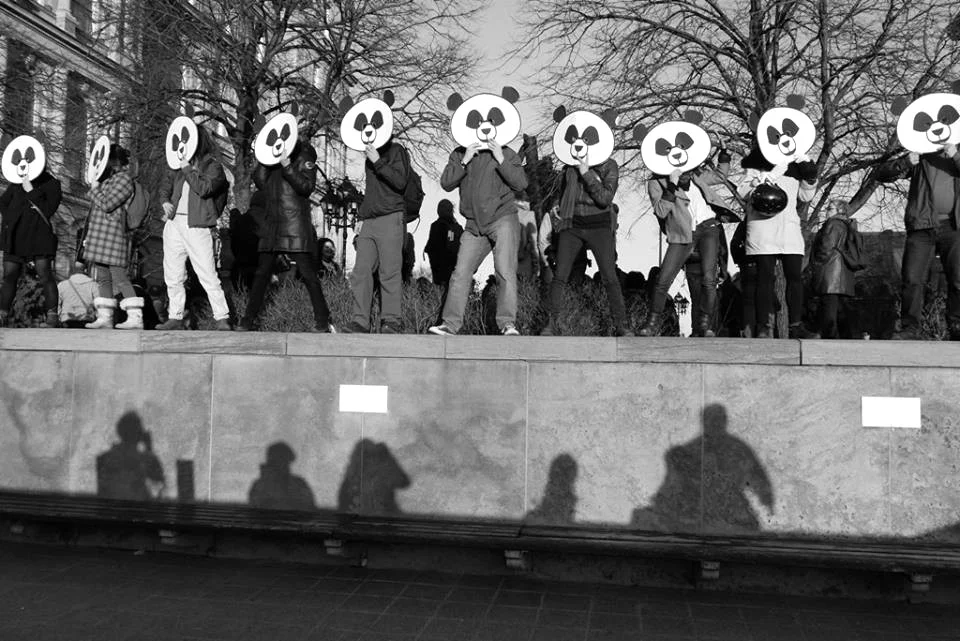 Anarchopandas, Hotel de ville, Montreal