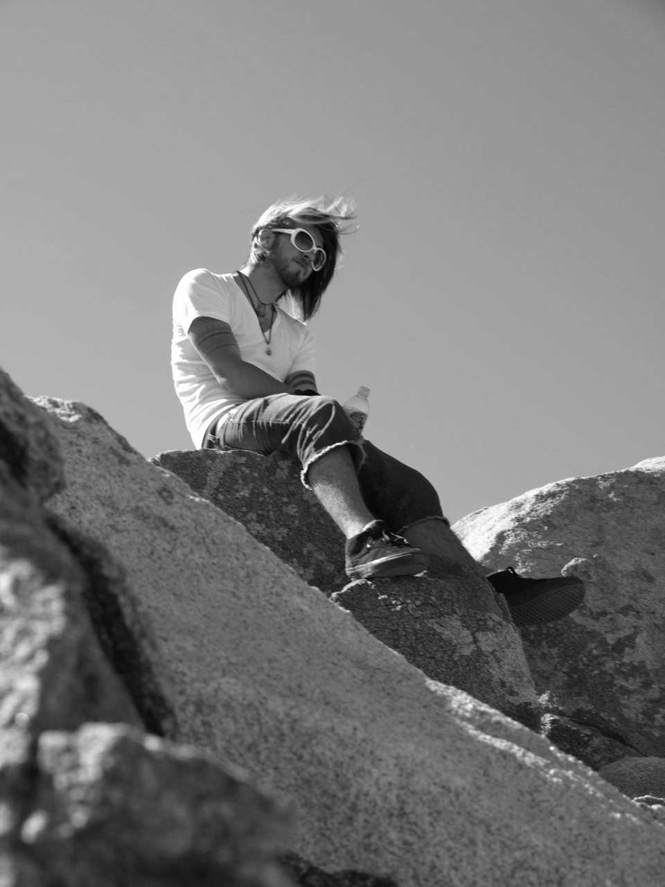 King of Joshua Tree