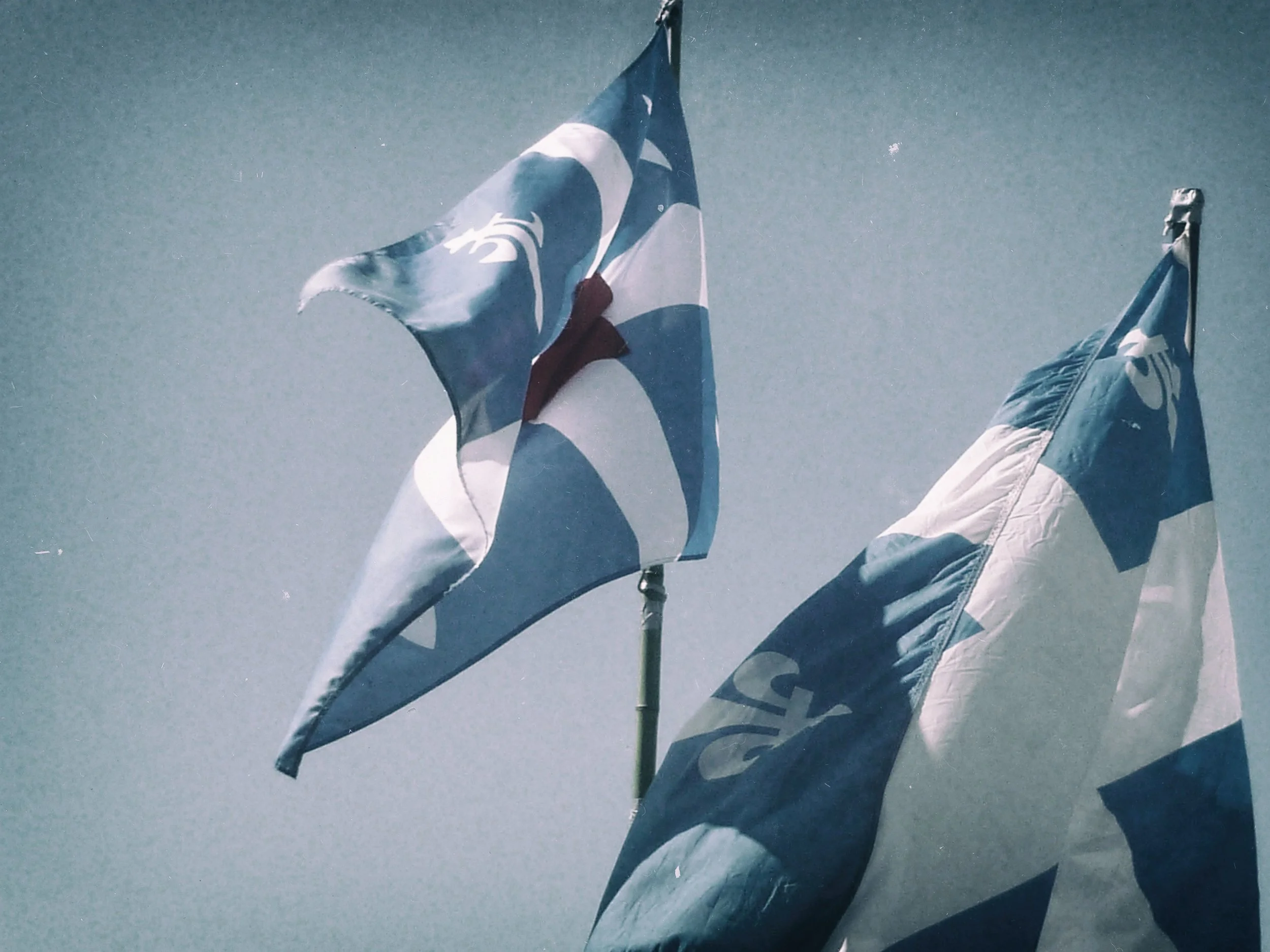 Flags1.JPG