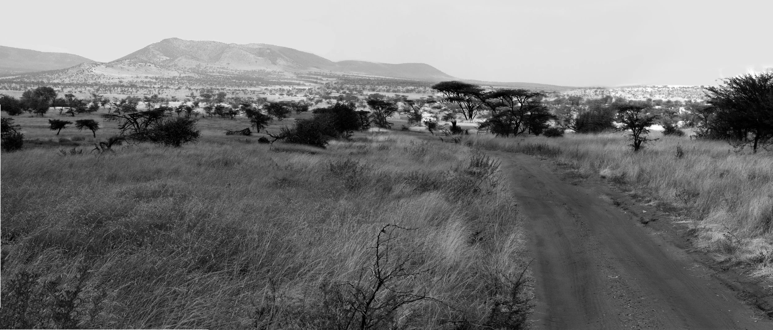 roadpanoramaBWLowRes.jpg