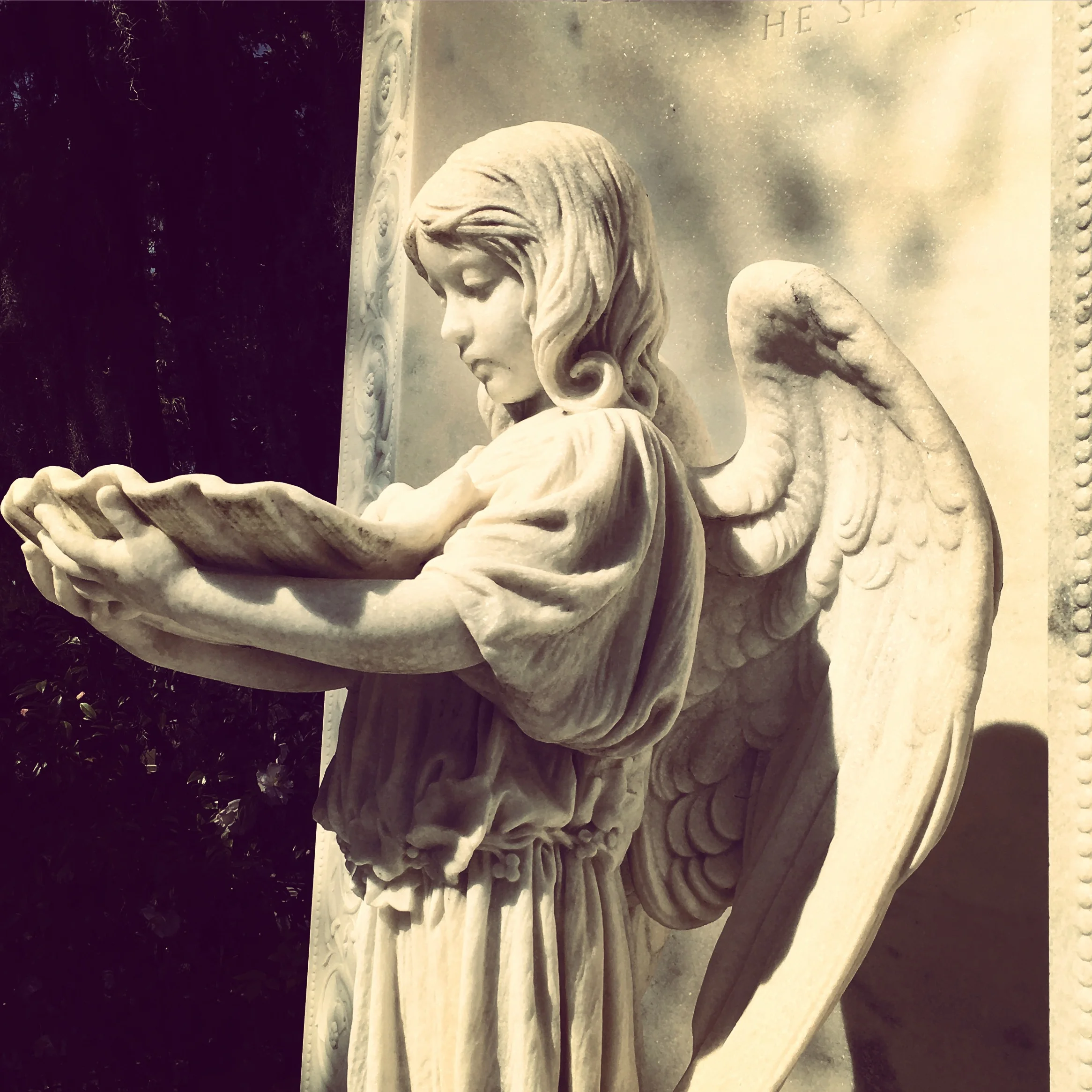 a grave site in Savannah, Ga