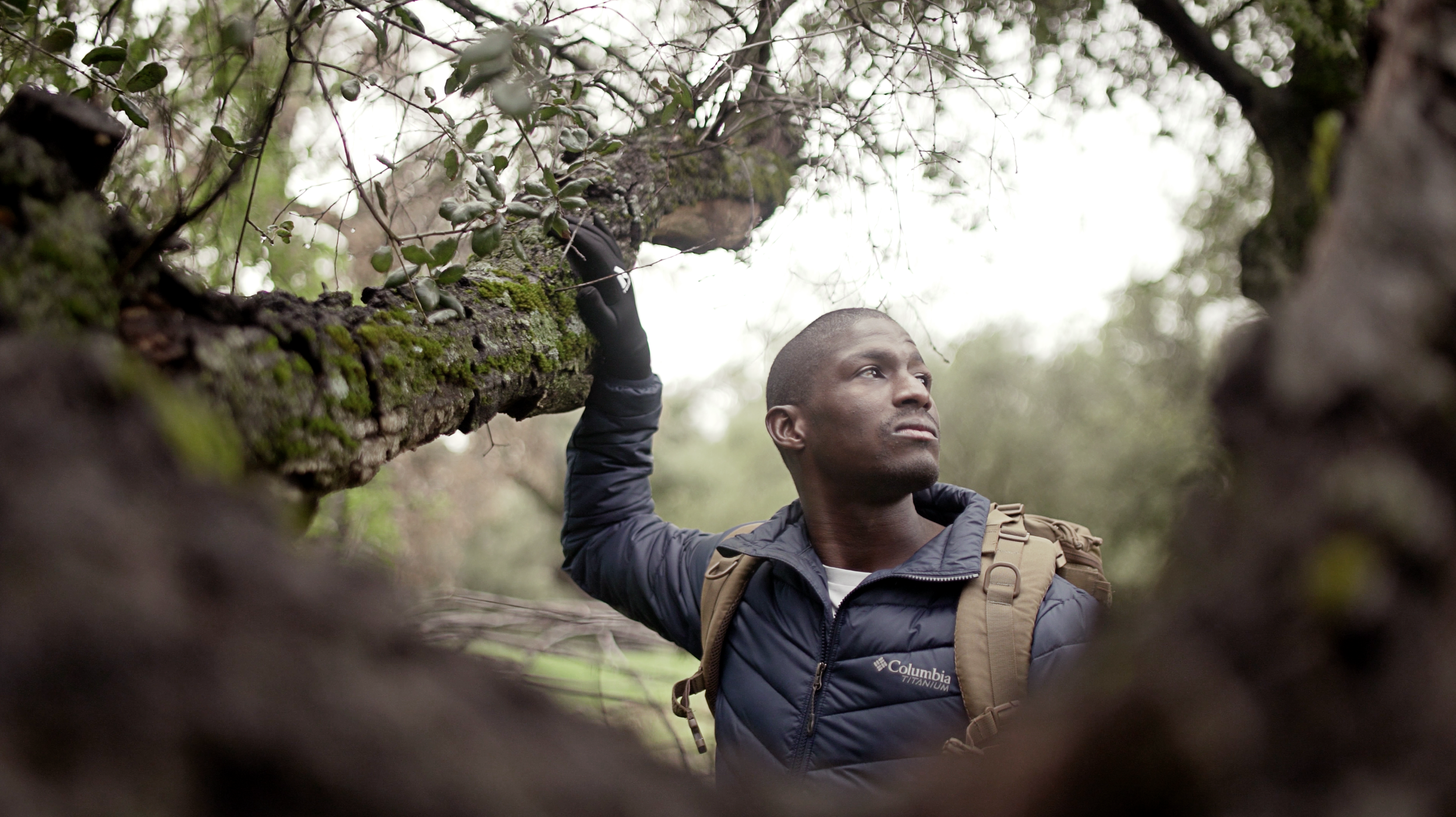 Man in a dark jacket with a backpack outdoors holding onto a large moss-covered tree branch, looking thoughtfully into the distance.