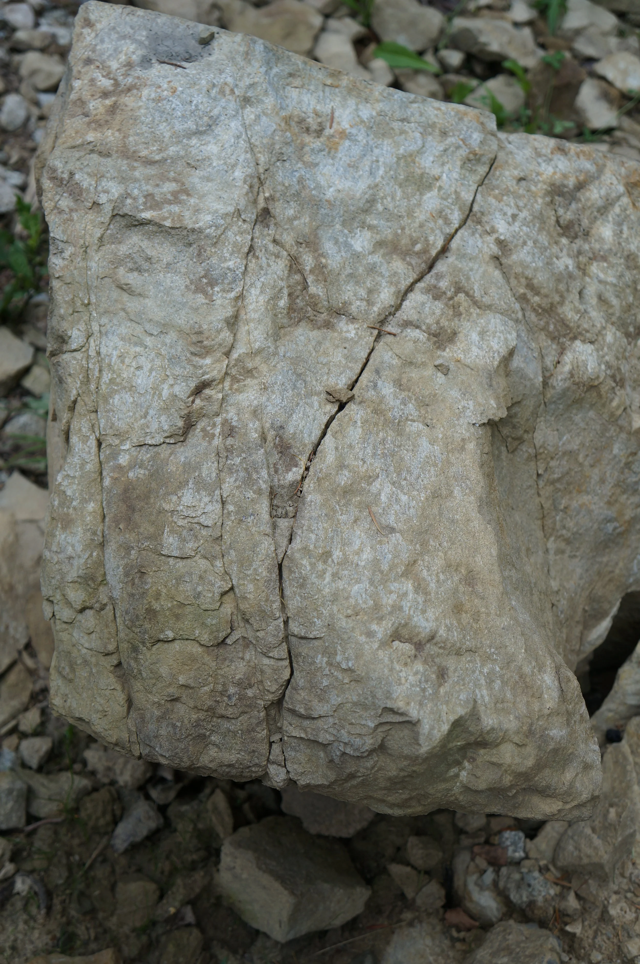 DSC09740.JPG