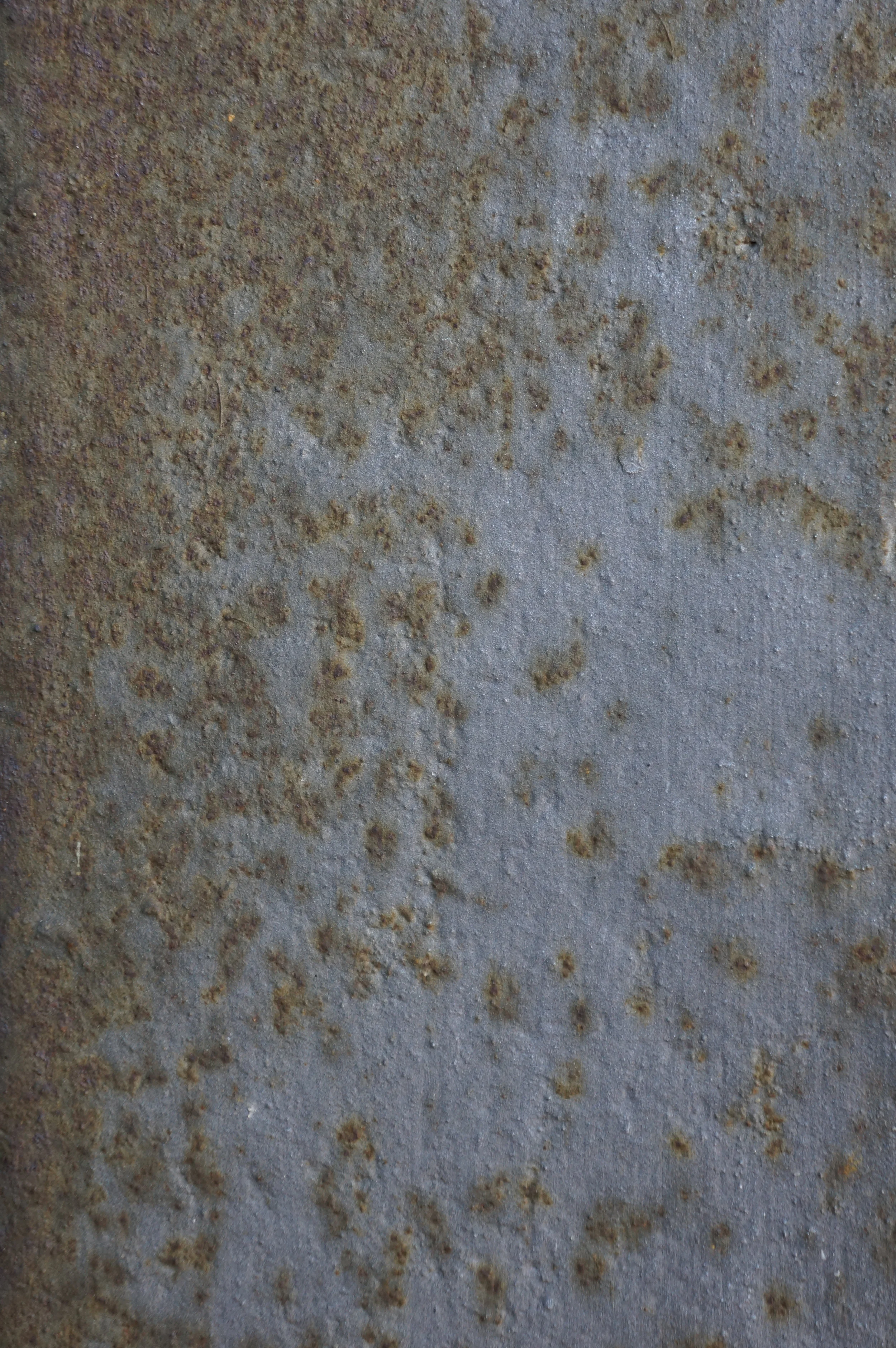 Northern Rust