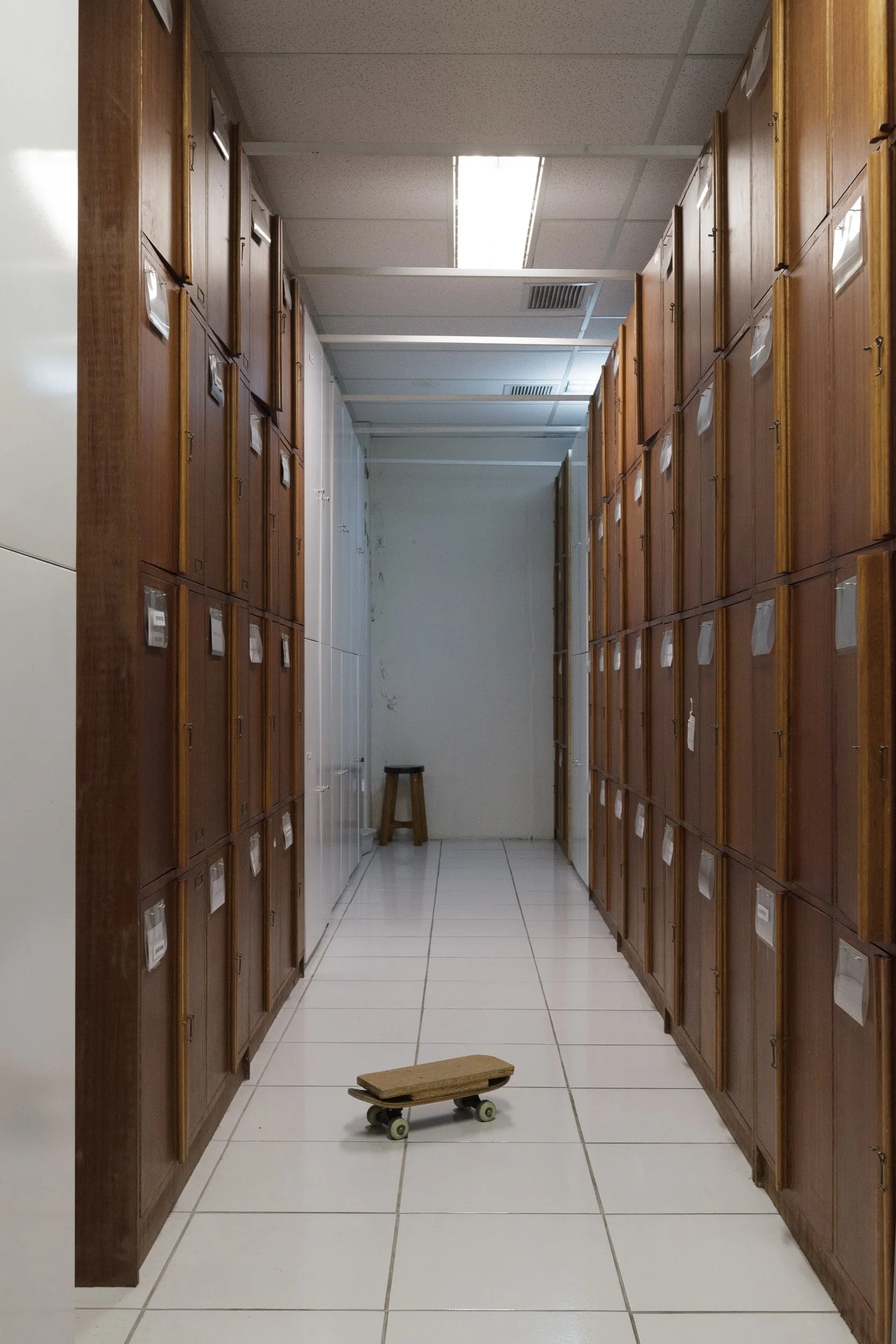 Compound specimen archives