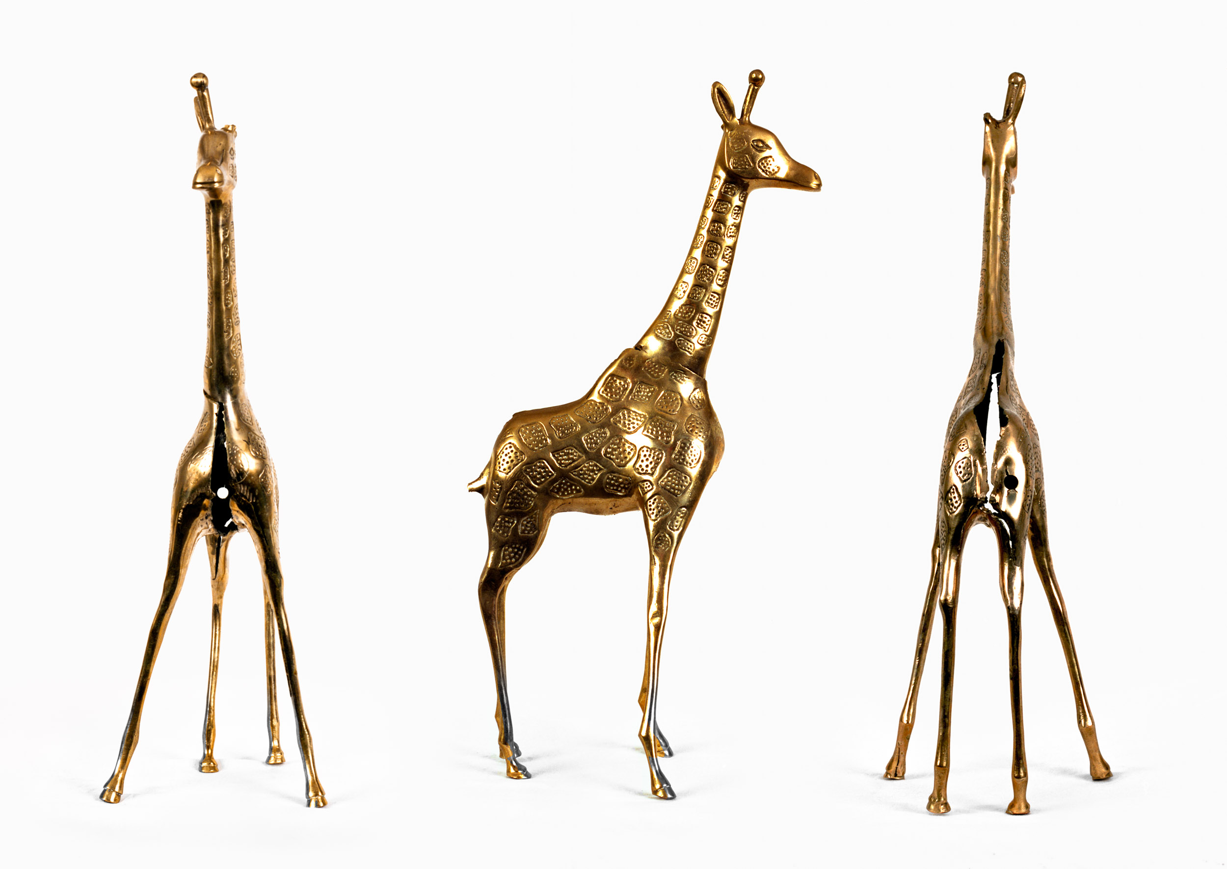 Giraffe, intercepted and found to be filled with cocaine