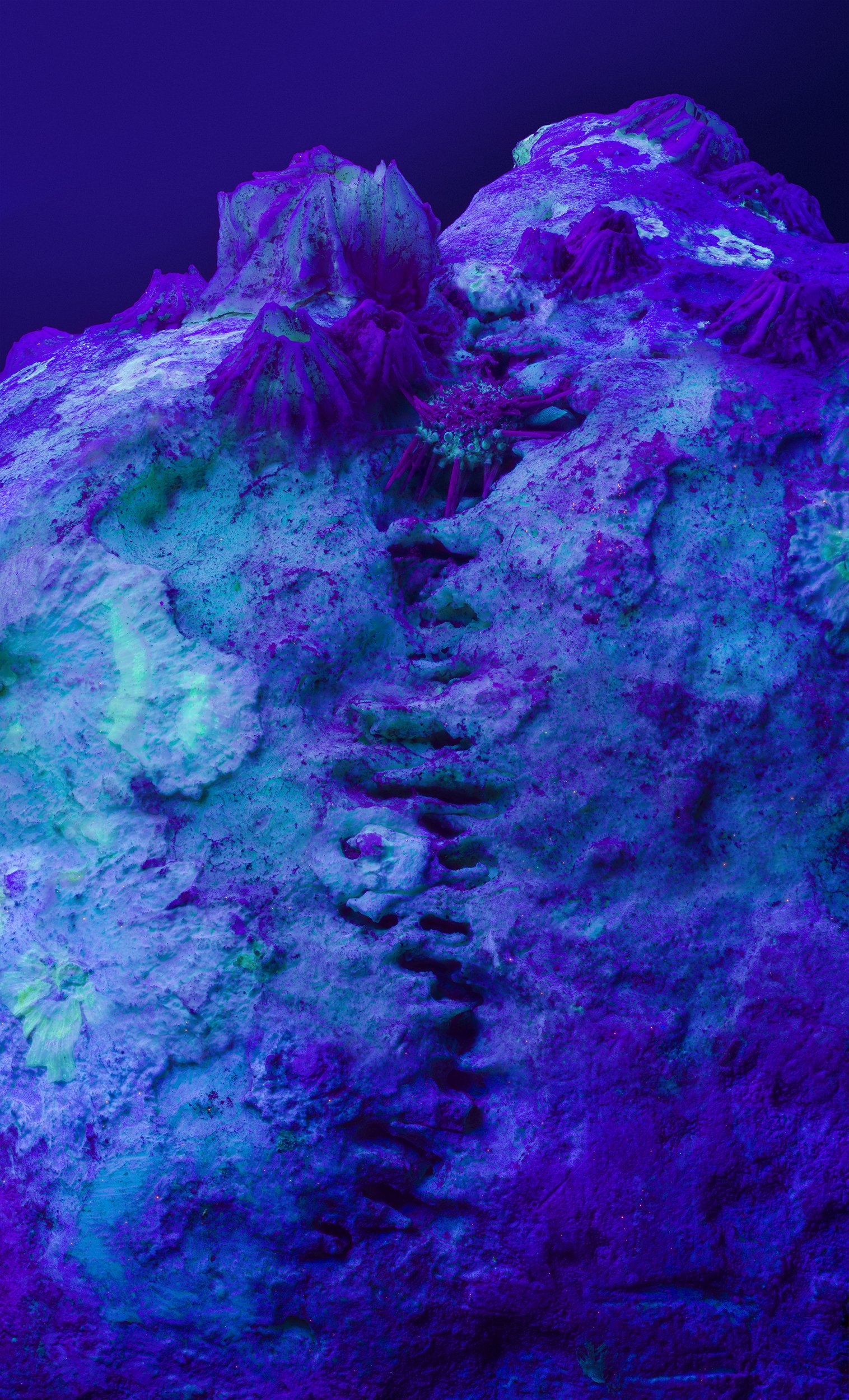 Ultraviolet microscopic landscape, private commission, 2022