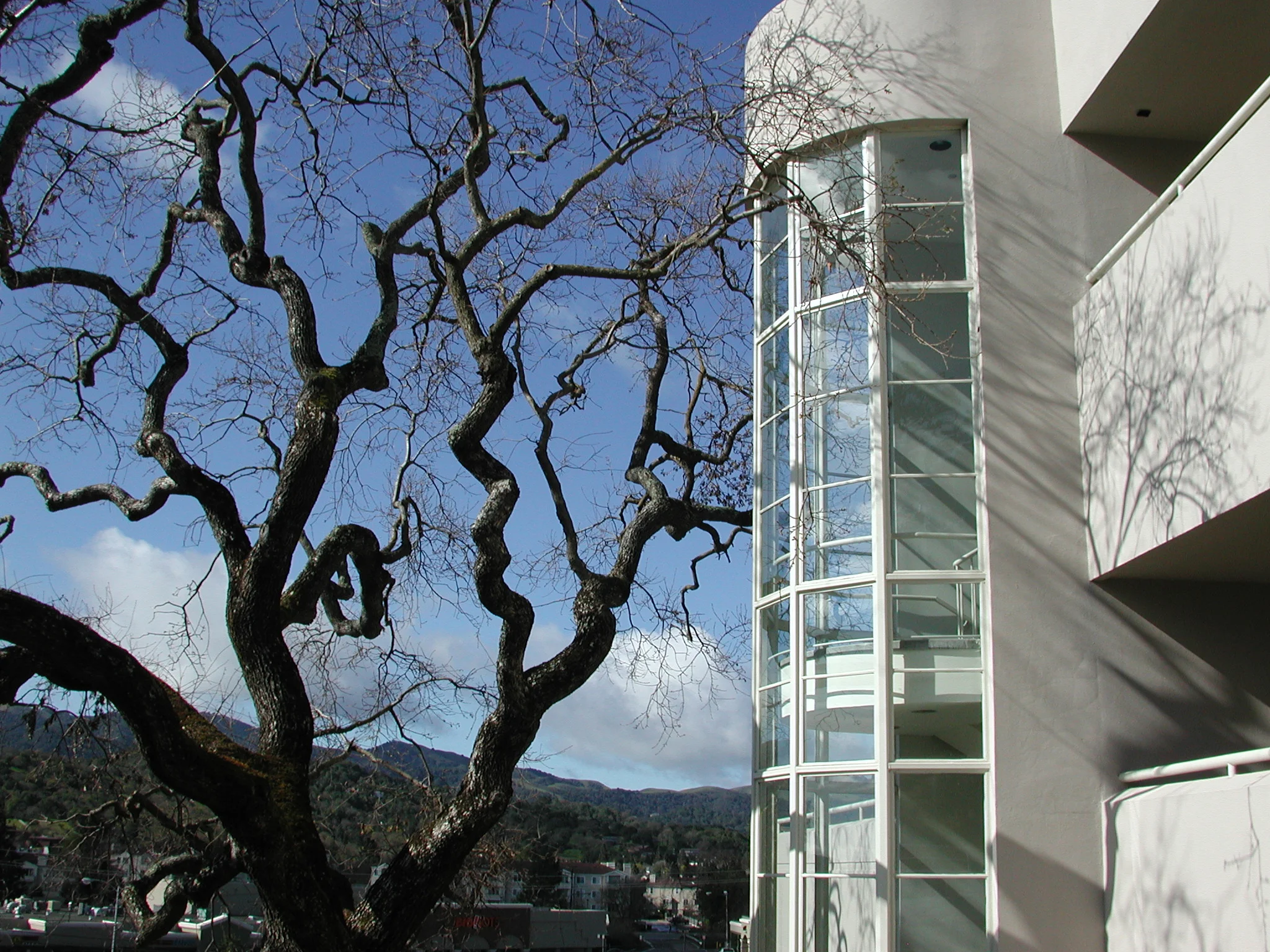 DSCN5449.JPG