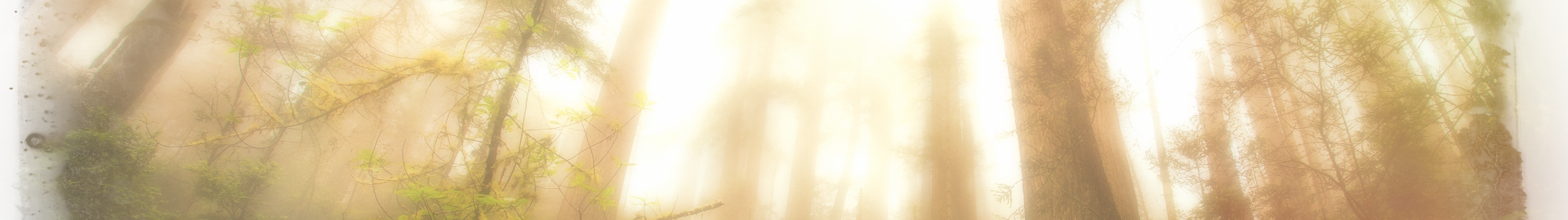 JJ_NEWBG6.png