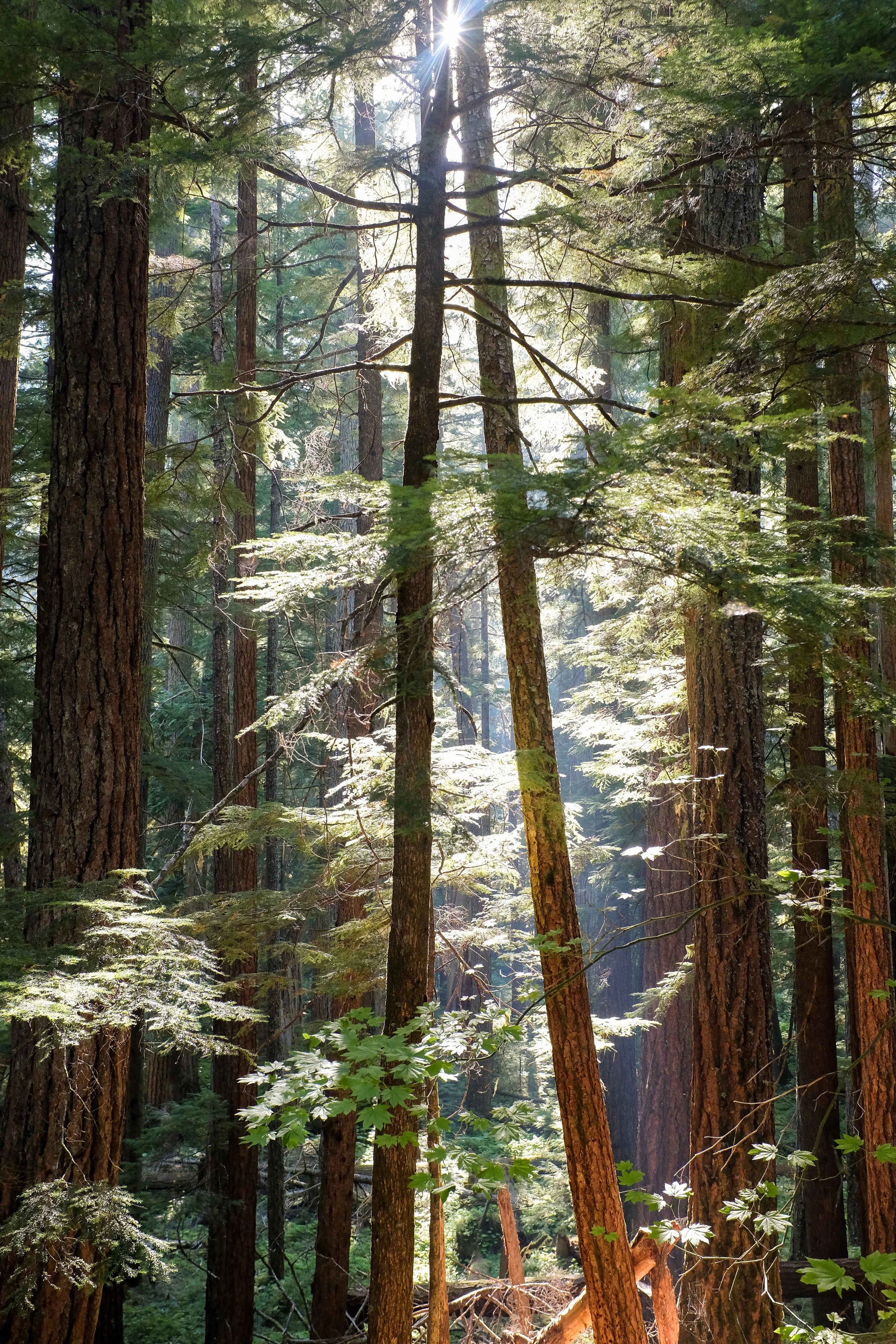 DSCF4728.jpg