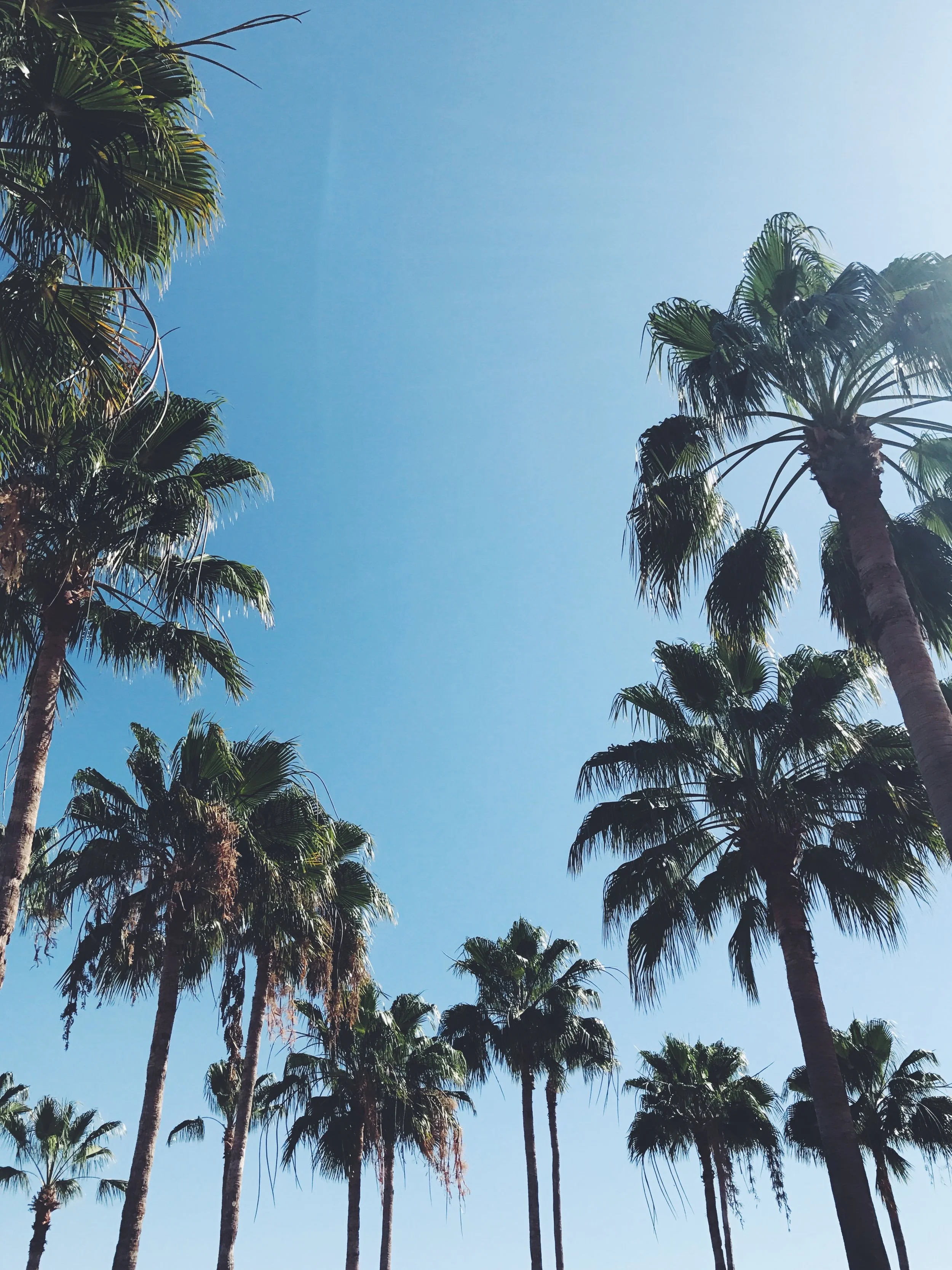 don't pray for vegas