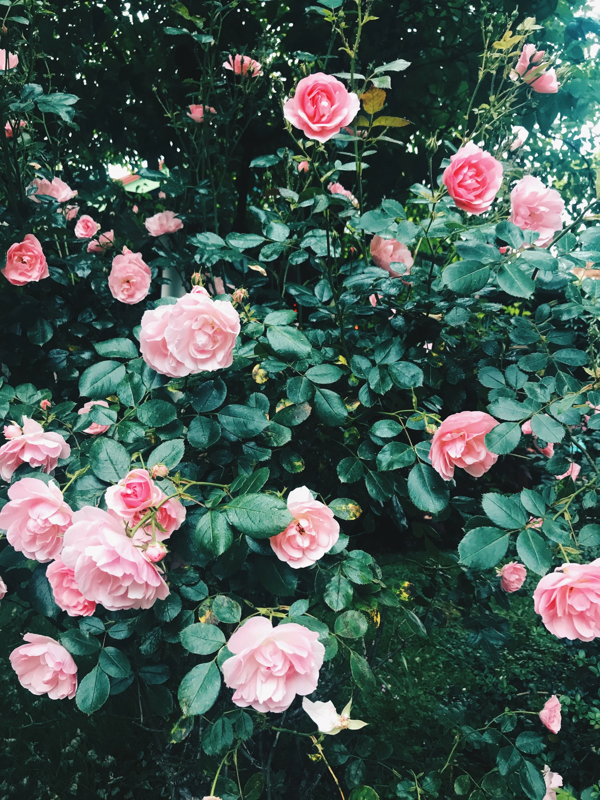 when you smell like...