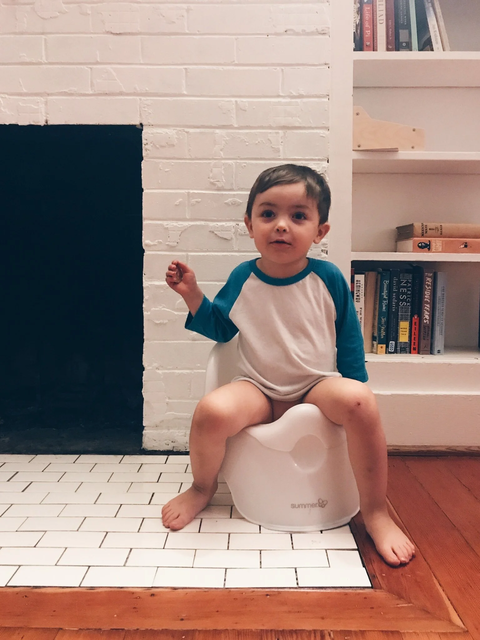 Potty training 2017