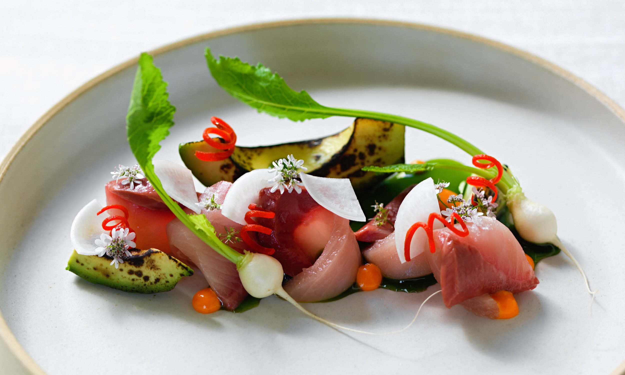 hamachi crudo with charred avocado, kumquat kosho, tokyo turnip and flowering coriander