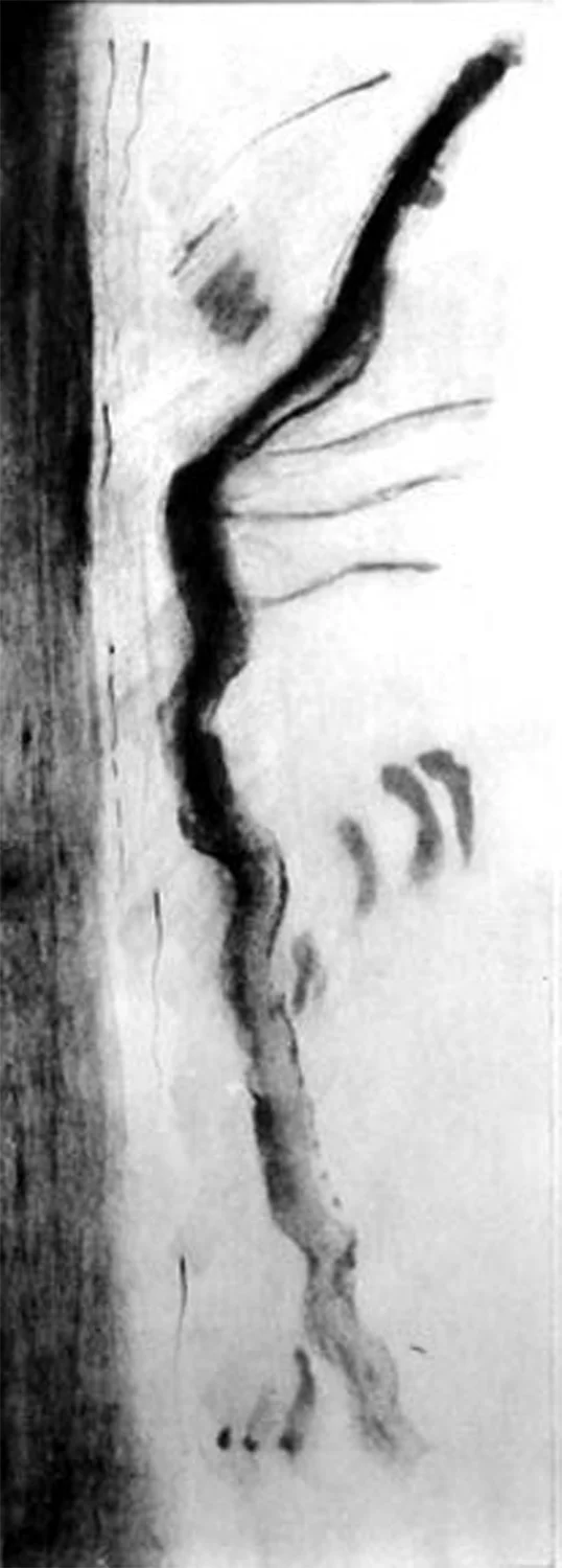 Jump to the wall