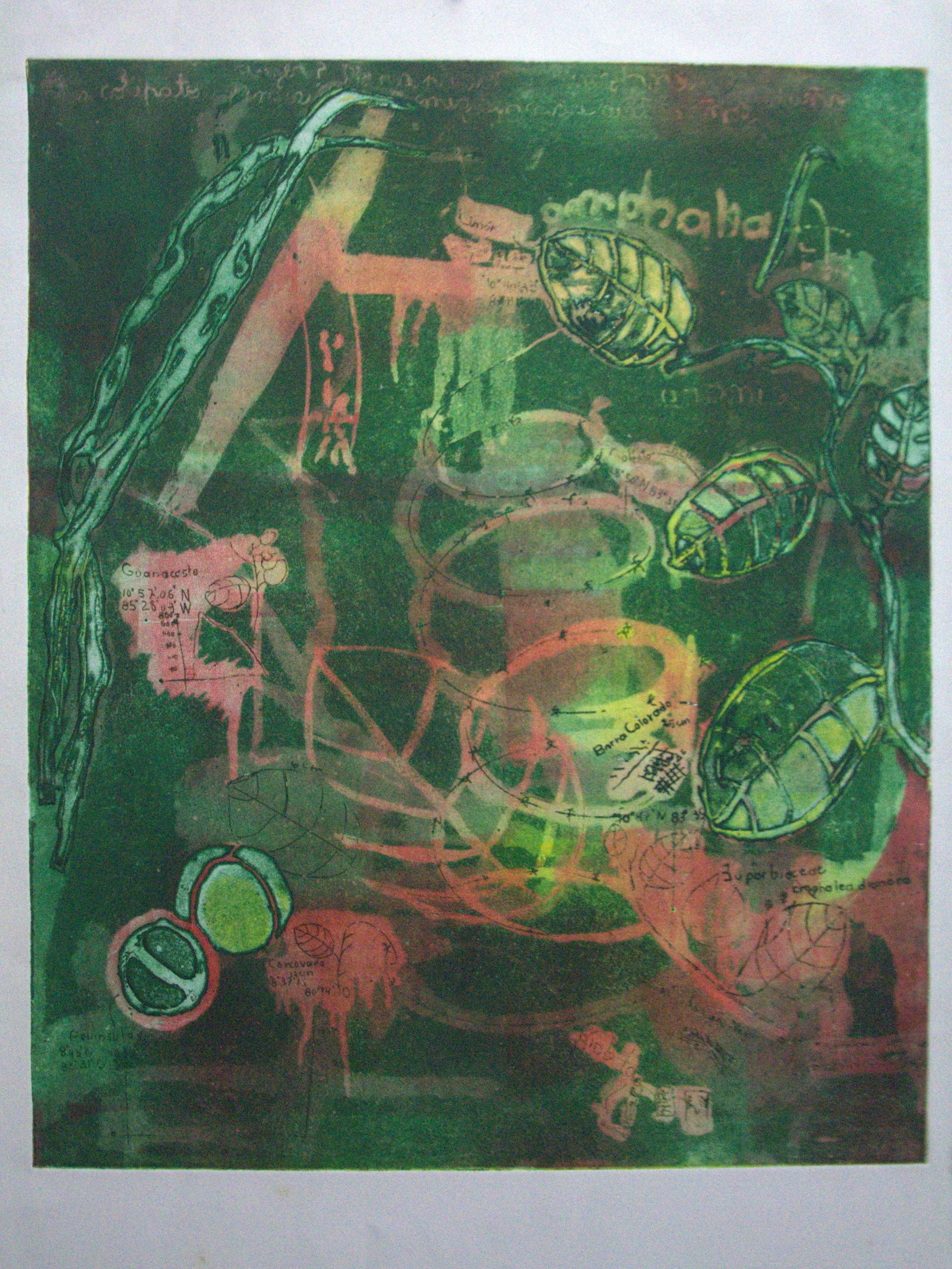 Omphalea, intaglio simultaneous color print on zinc,  70x50cm 