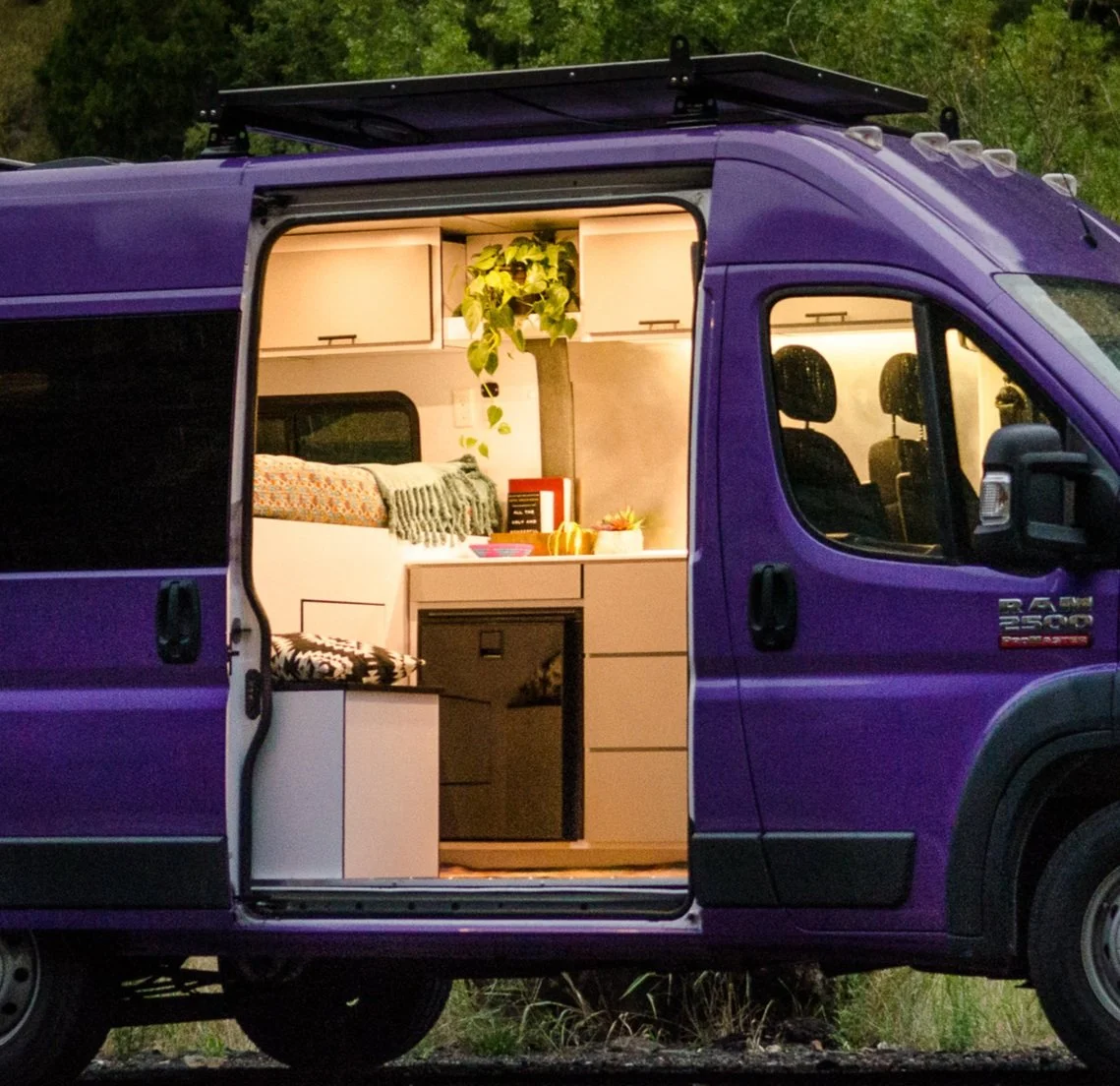 Dandy 136" Promaster