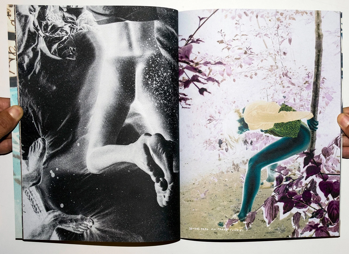 Haynesville Inverted book images-003.jpg
